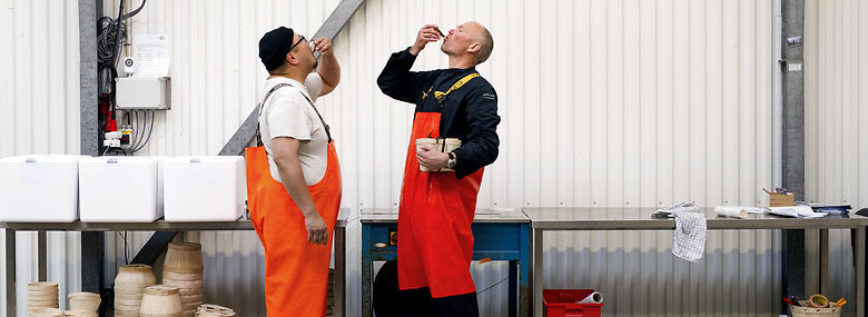 Ole Sjælland og Svend Bonde deler nogle østers efter et hold østersturister har været til foredrag, østerskiggeri og til sidst østerssmagning på Mors.<br />Foto: Tanja Carstens Lund, Ritzau Scanpix.