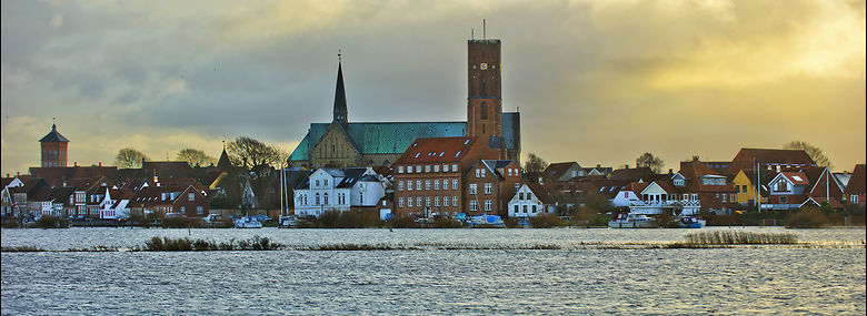 Forhøjet vandstand i Ribe Å, der gik over sine bredder i januar 2012. <br />Foto: Jesper Kristensen, Ritzau Scanpix
