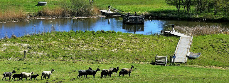Lille trækfærge i nærheden af Lille Kattinge Sø vest for Roskilde. <br />Foto: Fjordlandet