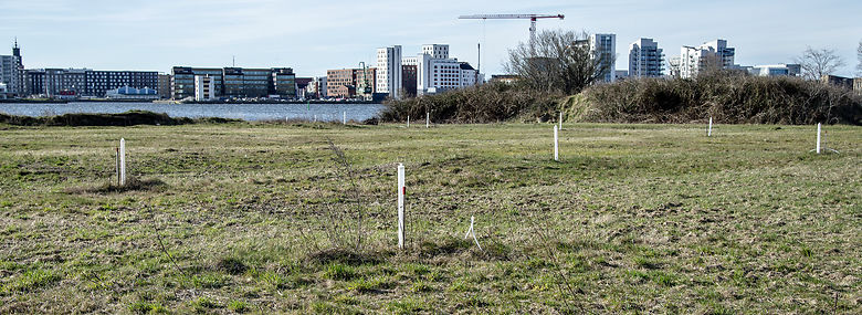 Et af de mange byggeprojekter, som er planlagt i danske kommuner: Stigsborg Brygge med markeringspæle på den gamle Syren grund i Nørresundby. Området skal de næste 25-30 år udvikles til Stigsborg Havnefront ved Limfjorden, området er på 54 hektar og vil resultere i 4.000 boliger og 7.500 indbyggere.<br />Foto: Henning Bagger, Ritzau Scanpix