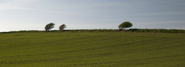 <br />Foto: Peter Marling, Ritzau Scanpix