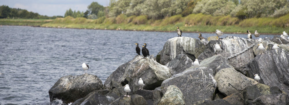 <br />Foto: Landdistrikternes Fællesråd