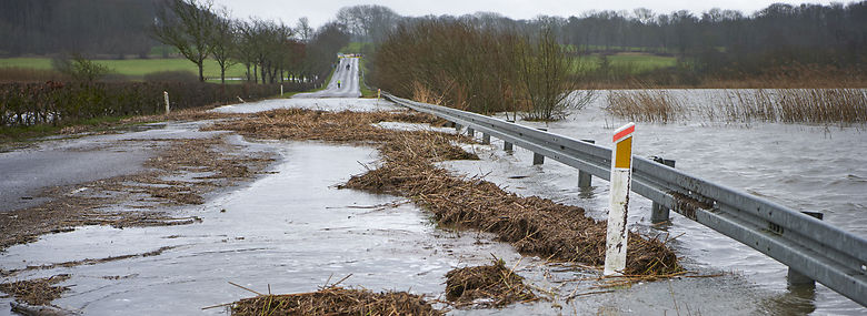 Øgede regnmængder og stigende grundvand har givet massive oversvømmelser denne vinter - her ved Brabrand Sø ved Aarhus. Nu vil miljøministeren hjælpe kommuner og vandselskaber med klimasikring.<br />Foto: Morten Rasmussen, Ritzau Scanpix