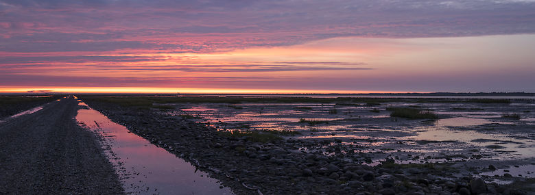 Låningsvejen ud mod Mandø.<br />Foto: Johnny Madsen, Ritzau Scanpix