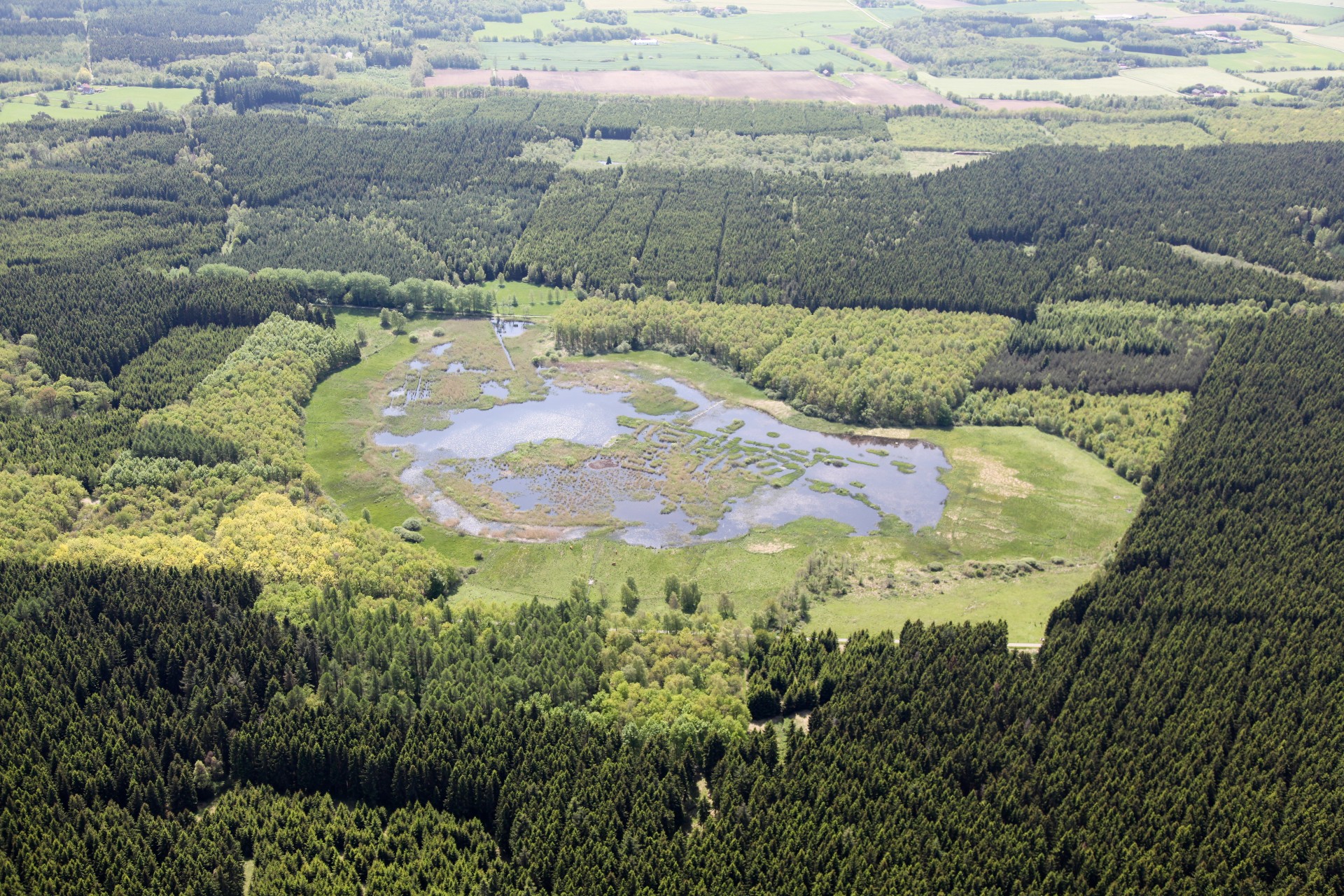 Danmarks Første Naturnationalparker Får Kvalitetsstempel