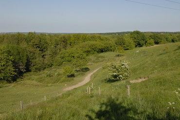 Seks områder i spil til at huse mere sammenhængende natur